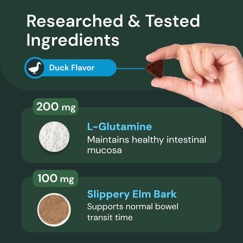VetriScience Gut & Bowel Support on kitchen counter suggests easy daily digestive aid for pets.