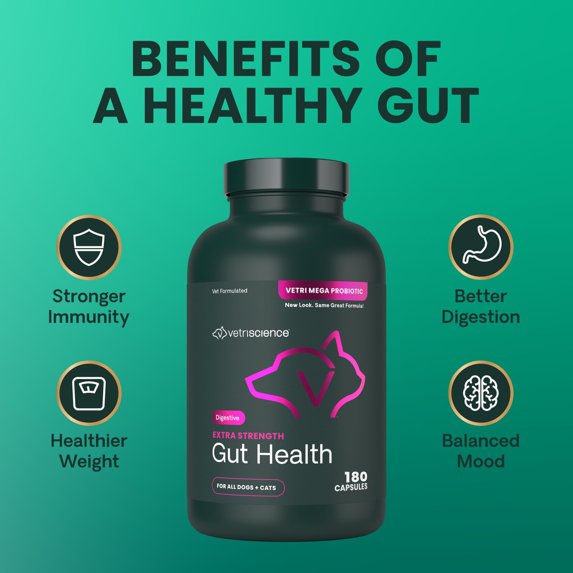 Back label detailing ingredients and usage for VetriScience Gut Health