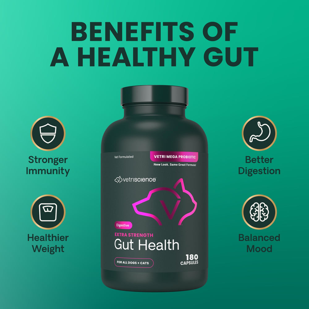 Back label detailing ingredients and usage for VetriScience Gut Health