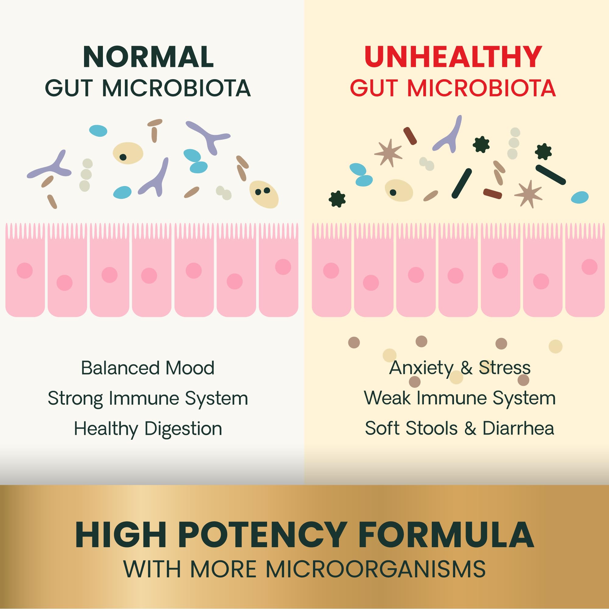 Front label of VetriScience Gut Health bottle highlighting NASC certification