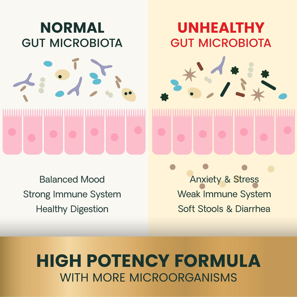 Front label of VetriScience Gut Health bottle highlighting NASC certification