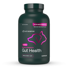 VetriScience Gut Health capsules close-up showing easy-to-use daily probiotic dose