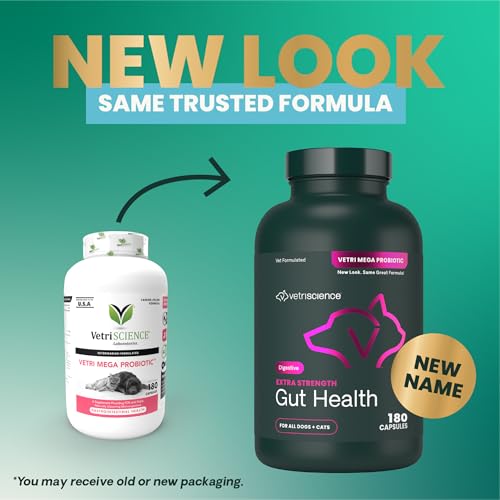VetriScience Gut Health capsules being given directly for convenient dosing