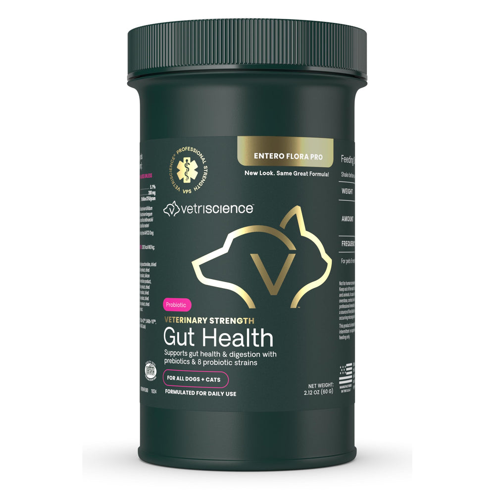 VetriScience Gut Health Powder bottle for dogs and cats providing easy probiotic support.