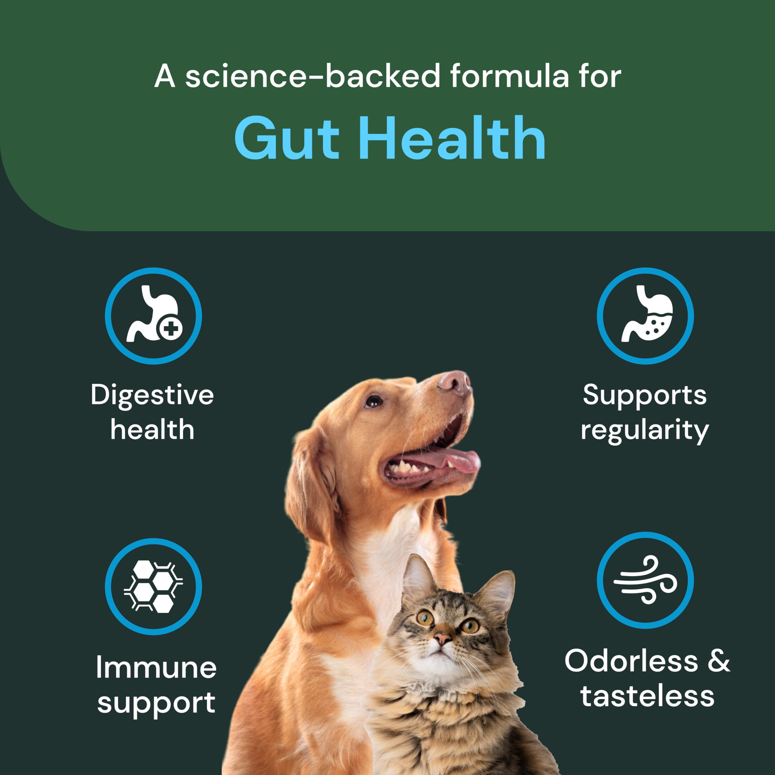 VetriScience Gut Health Powder cat image illustrating easy administration for felines.
