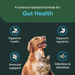 VetriScience Gut Health Powder cat image illustrating easy administration for felines.