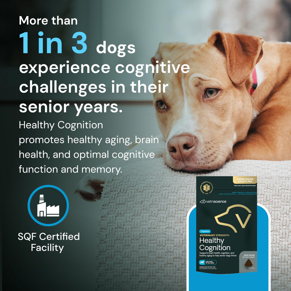 60-count bottle signals ongoing support for aging immune function and metabolism