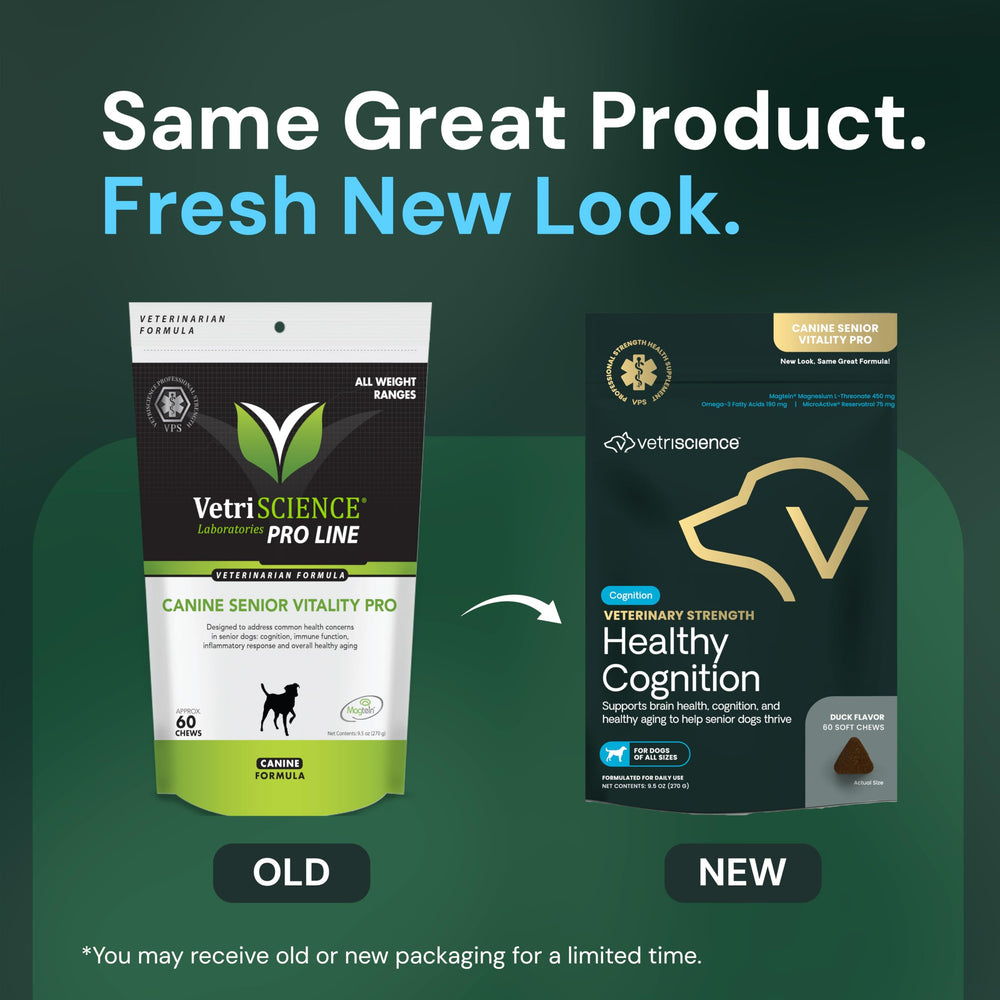 Healthy Cognition Chews in a dish highlighting easy-to-chew texture for seniors