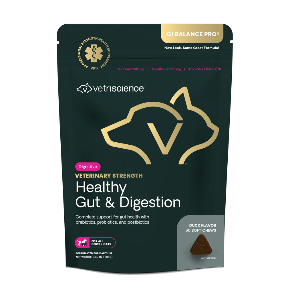 VETRISCIENCE Healthy Gut Digestion bottle pour demonstrates probiotic delivery for dogs and cats.