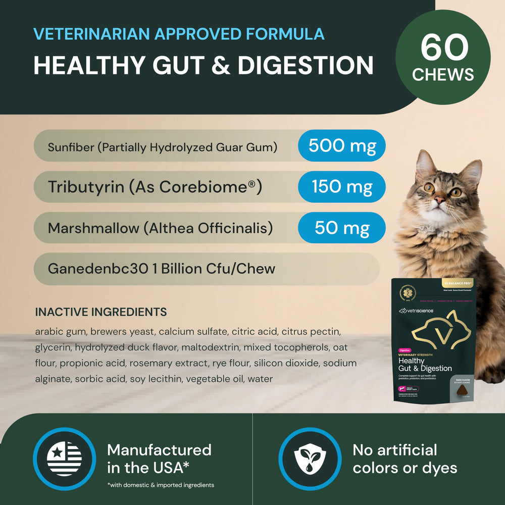 VETRISCIENCE Healthy Gut Digestion chews closeup shows pet-friendly texture.