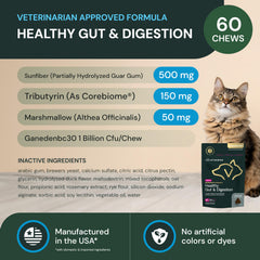 VETRISCIENCE Healthy Gut Digestion chews closeup shows pet-friendly texture.