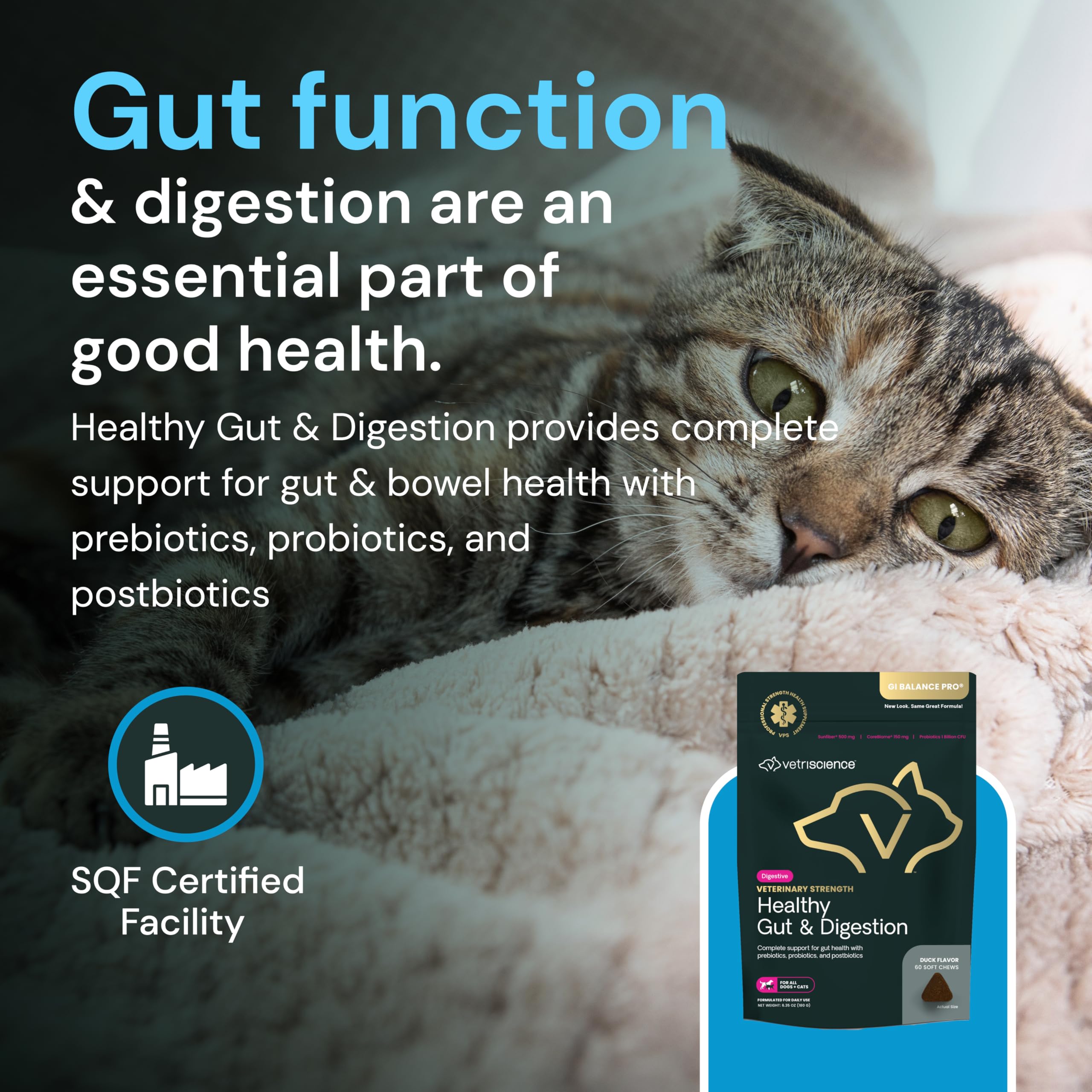 VETRISCIENCE Healthy Gut Digestion chews in hand indicate easy dosing.