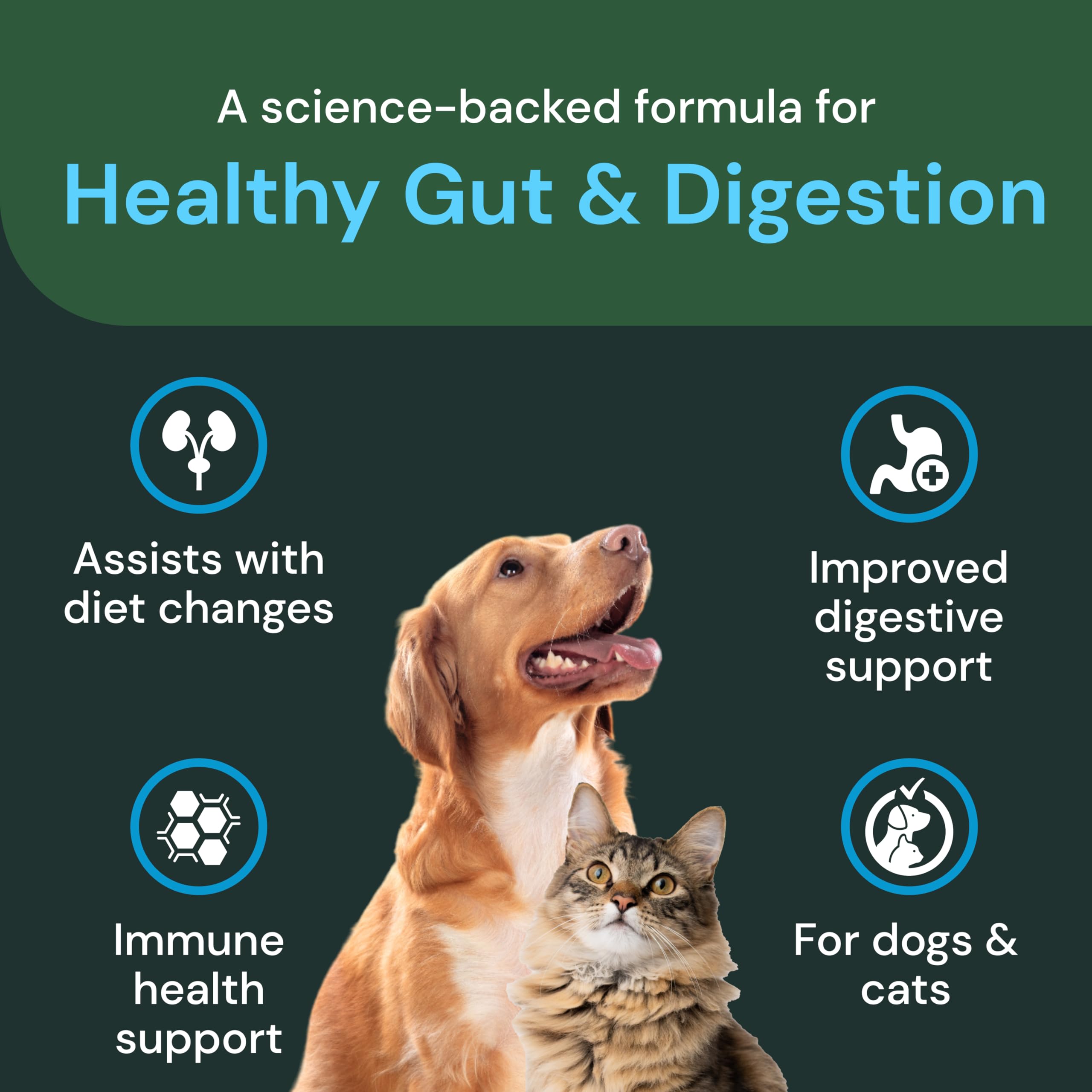VETRISCIENCE Healthy Gut Digestion dog and cat serving suggests daily use.