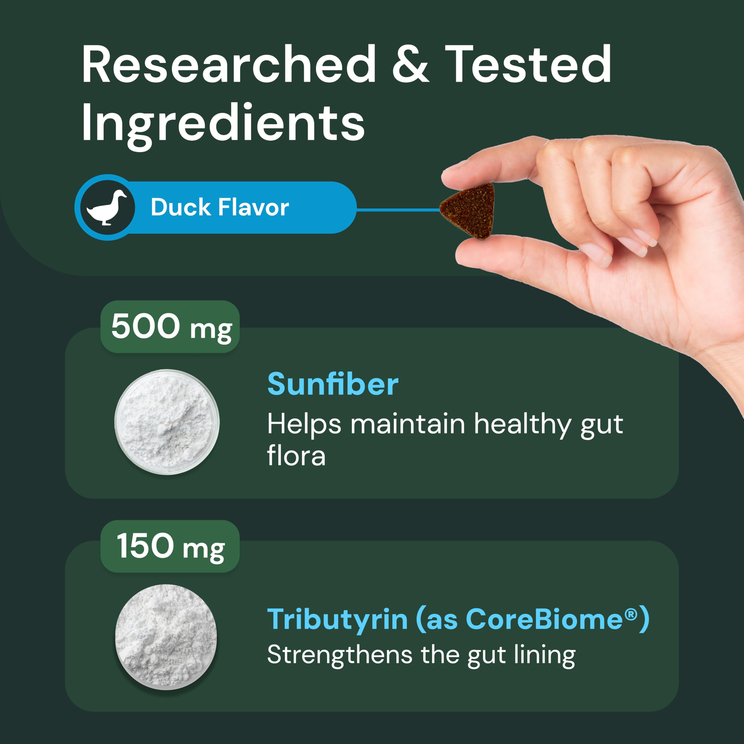 VETRISCIENCE Healthy Gut Digestion packaging box communicates complete digestive support.