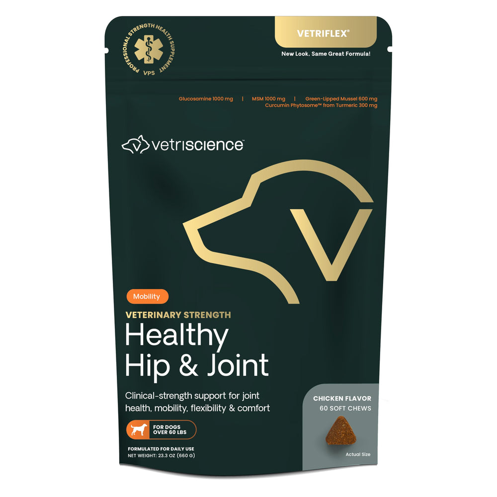 VetriScience Healthy Hip & Joint chews bottle promotes mobility support for large dogs.