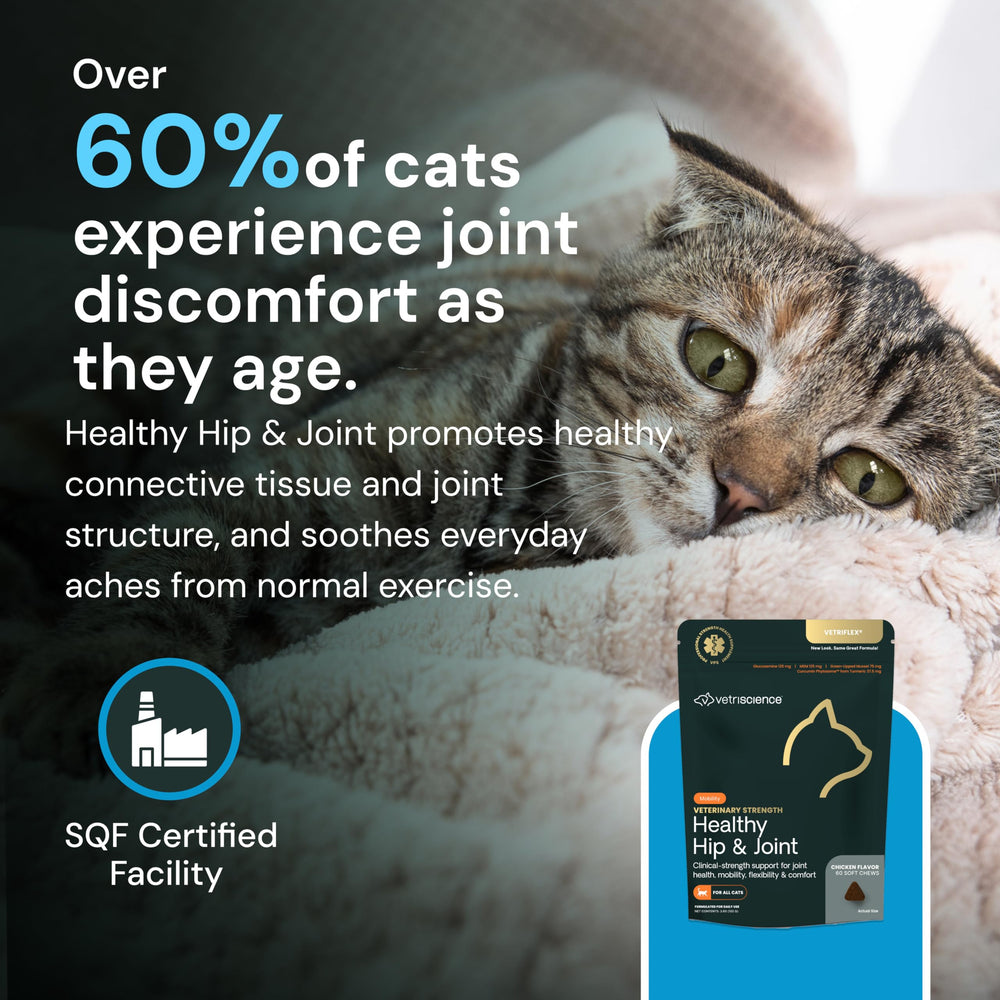 VetriScience hip joint chews packaging graphic, highlighting science-backed pet supplements