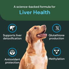 VetriScience immune health dogs—liver and immunity synergy in treats