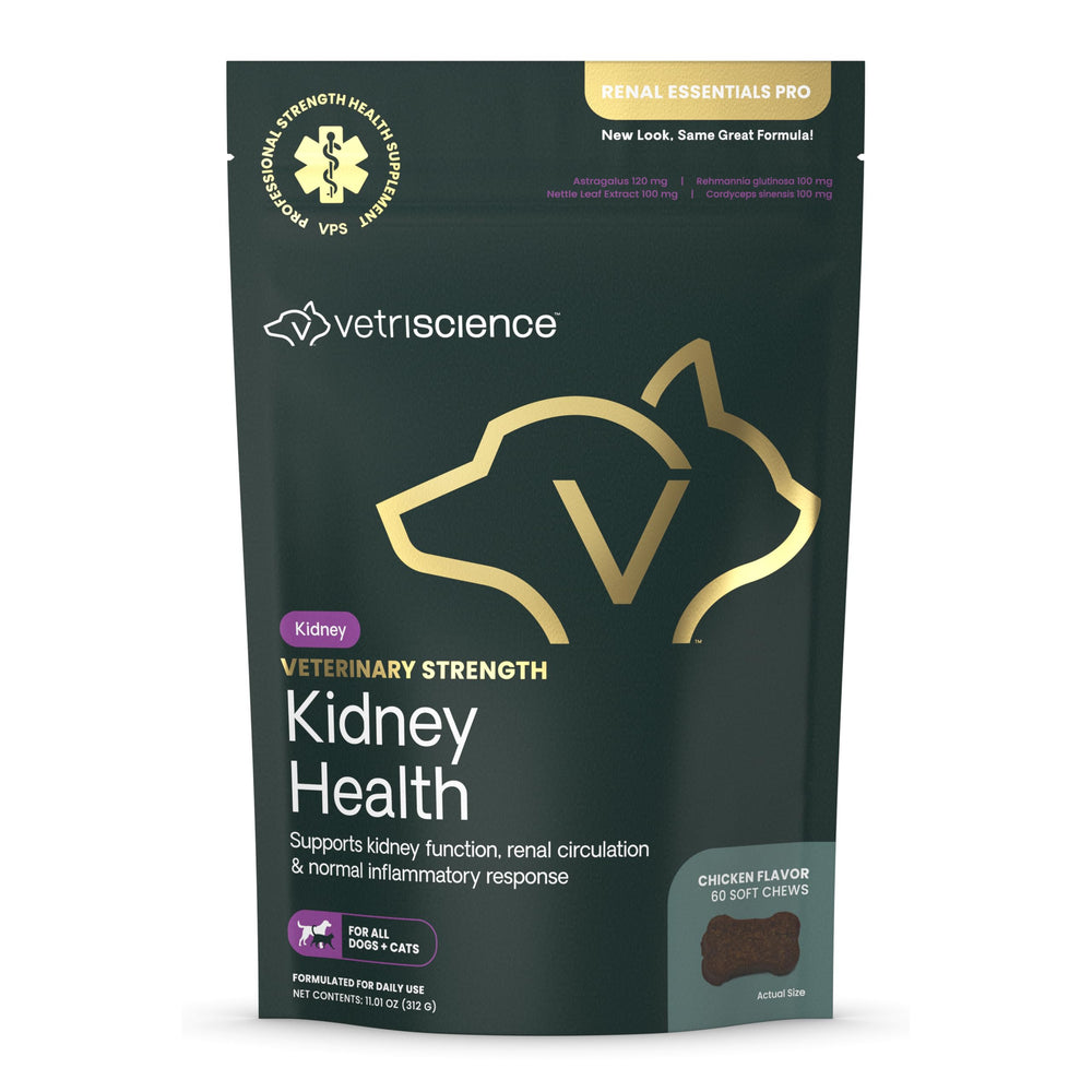 VetriScience Kidney Health Chews bottle showing convenient kidney support for pets