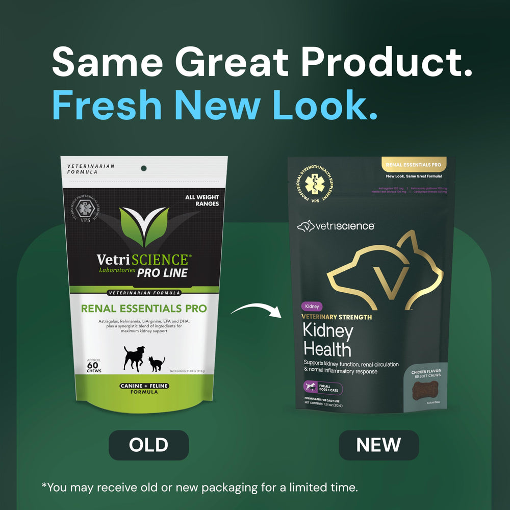 VetriScience Kidney Health Chews close-up of treats for renal support