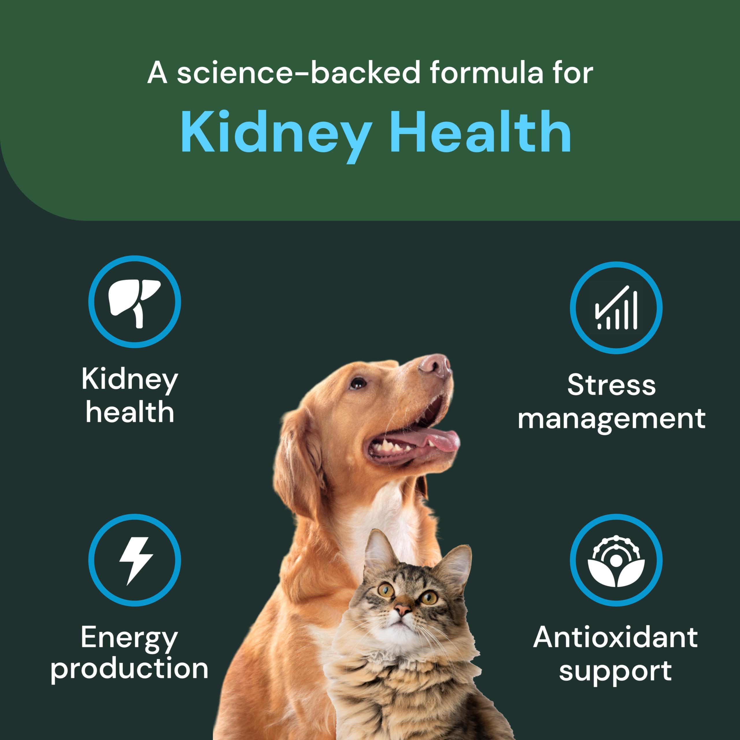 VetriScience Kidney Health Chews dog treat on counter ready for renal support