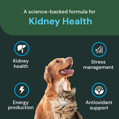 VetriScience Kidney Health Chews dog treat on counter ready for renal support