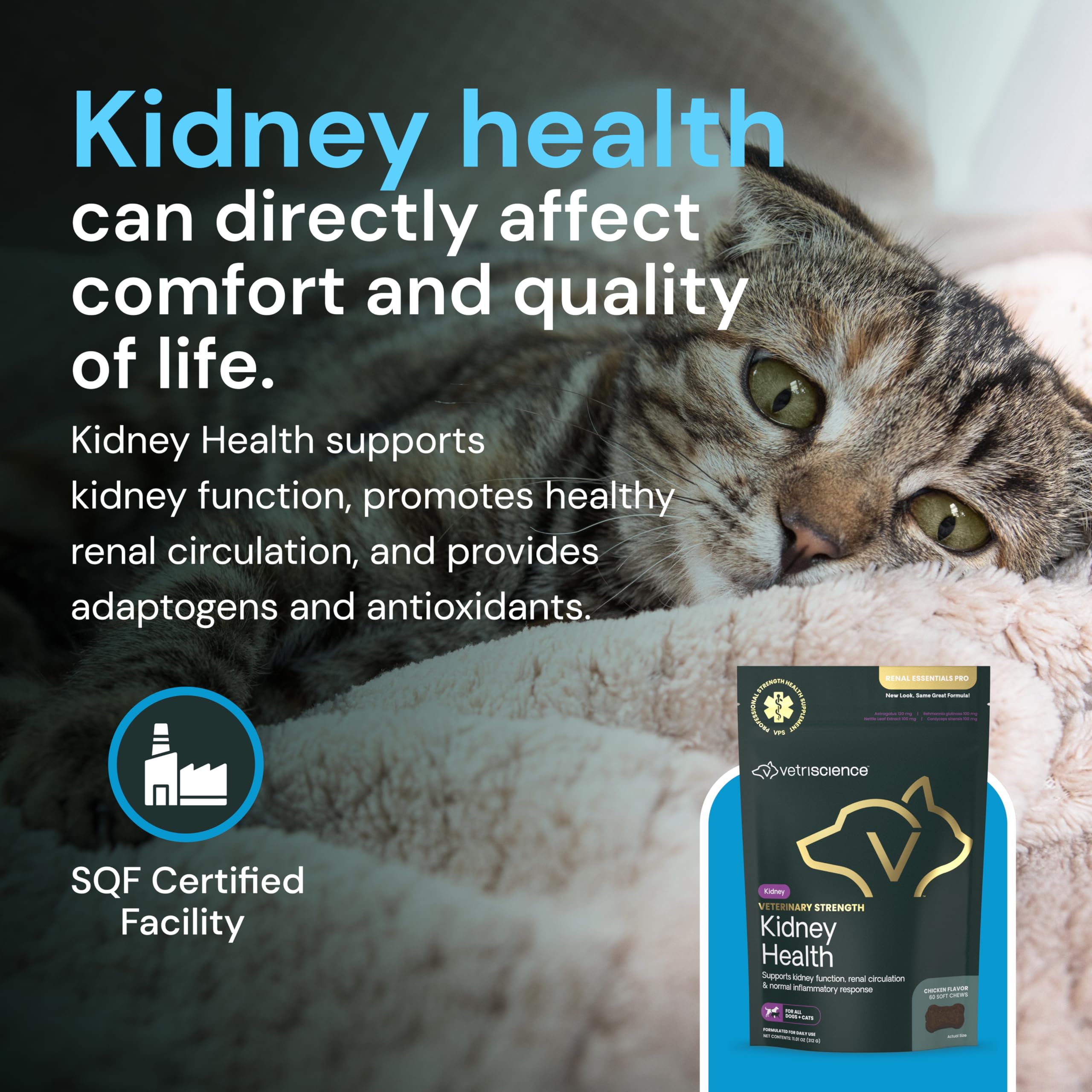 VetriScience Kidney Health Chews label close-up shows vitamins and herbs