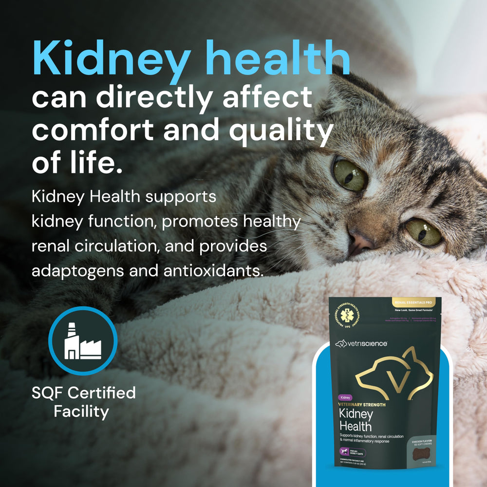 VetriScience Kidney Health Chews label close-up shows vitamins and herbs