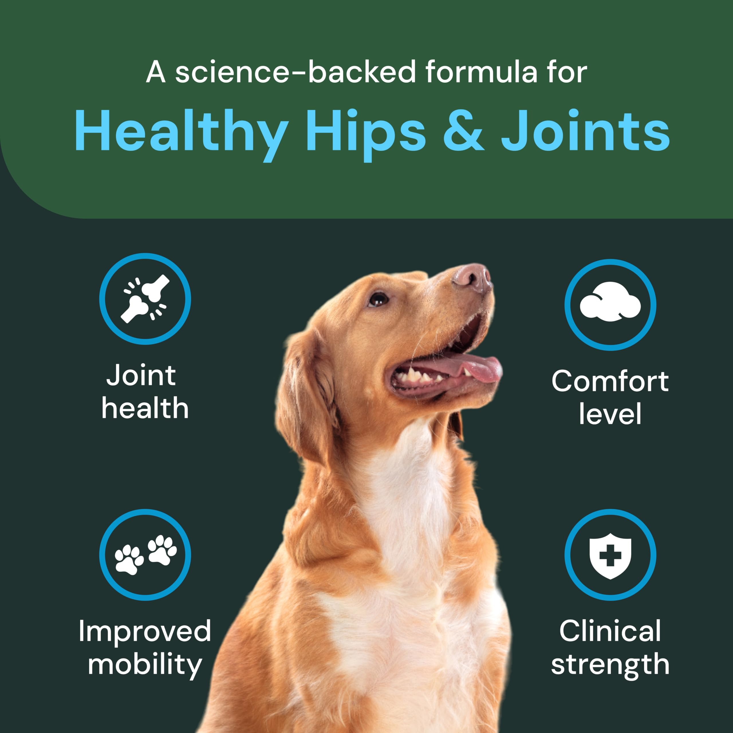 VetriScience large-dog joint health chews display robust daily joint care.