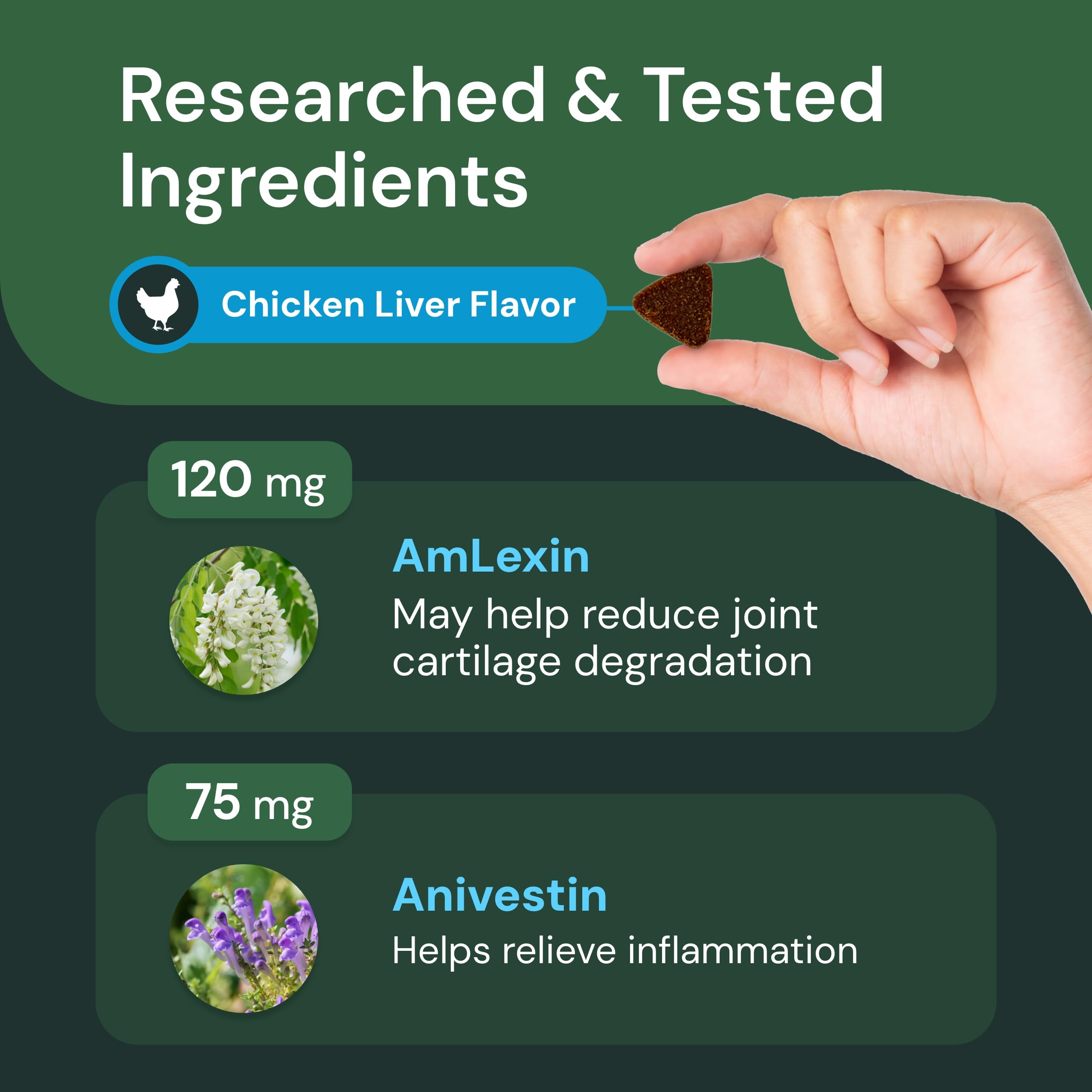 VetriScience Max Comfort & Ease chews in a bowl illustrate easy daily dosing and flavor.