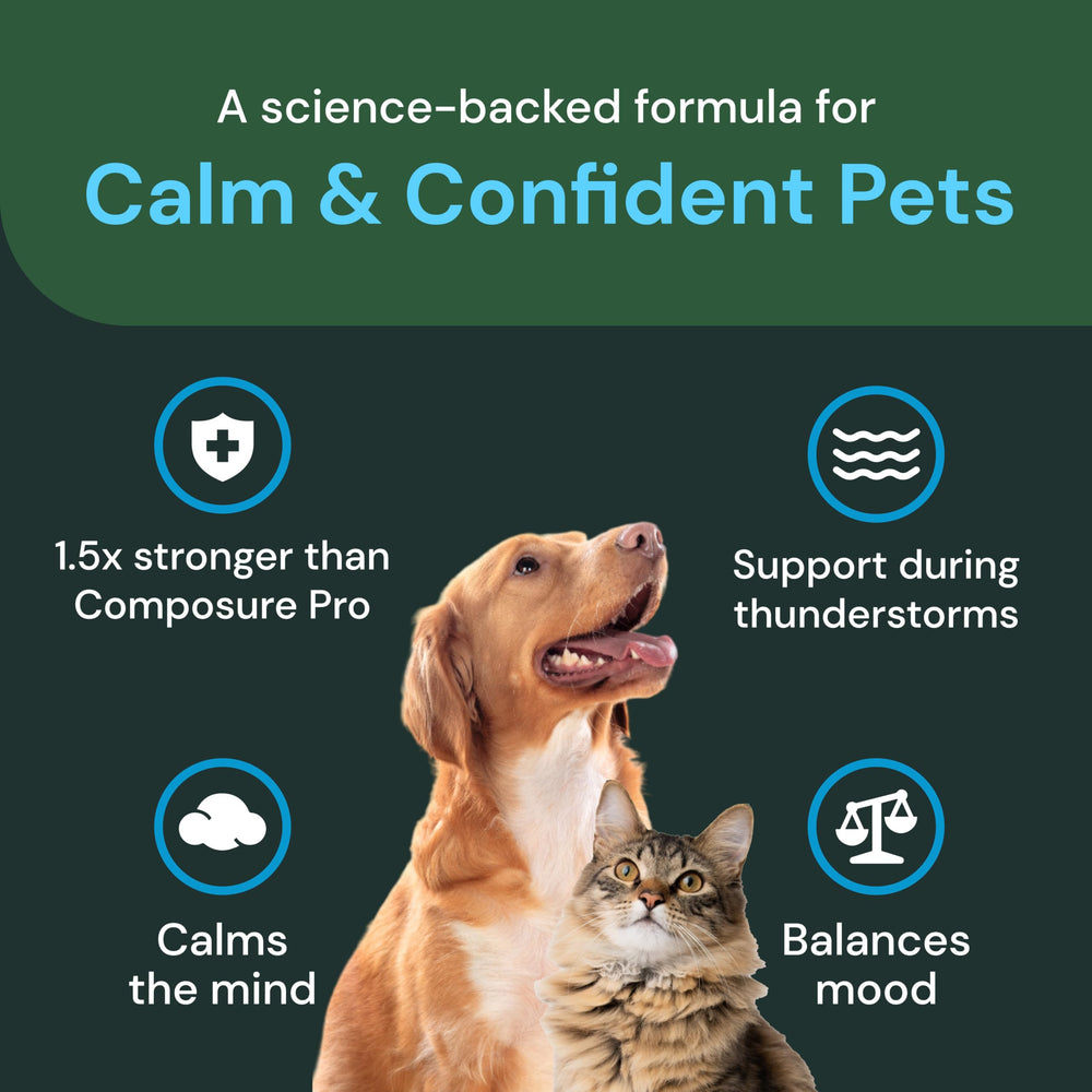 VetriScience Max lemon balm extract ingredient highlight in calming blend