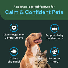 VetriScience Max lemon balm extract ingredient highlight in calming blend
