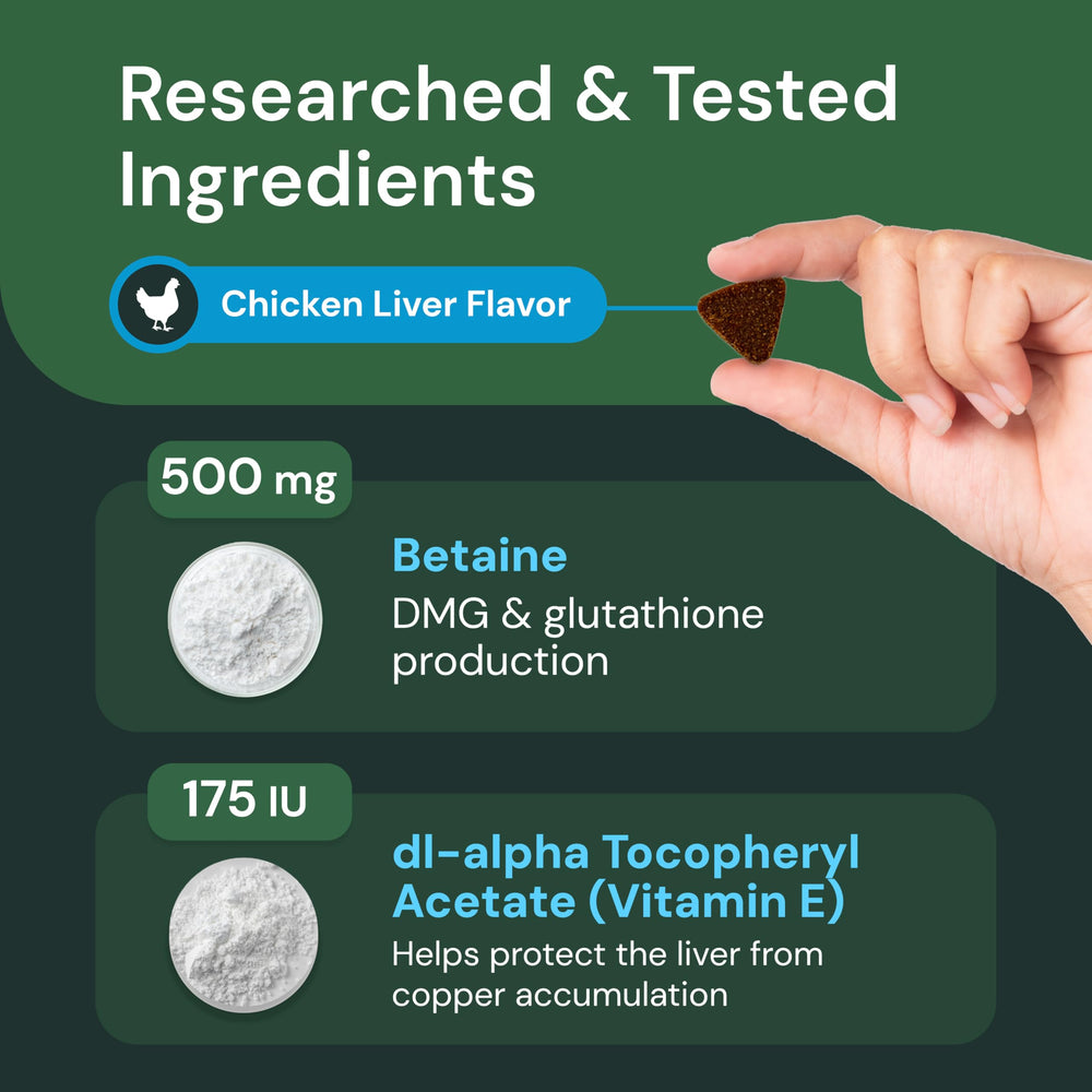 VetriScience no-fasting dog supplement—convenient daily liver care