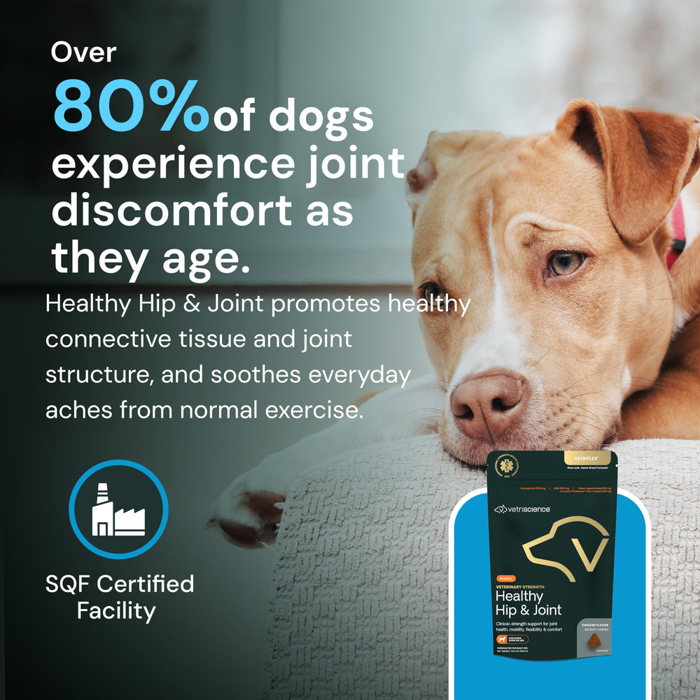 VetriScience packaging label hip joint highlights science-backed supplement benefits.
