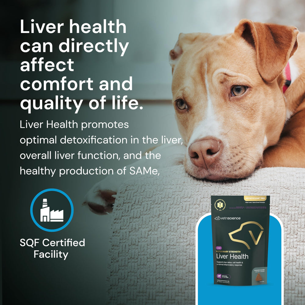 VetriScience science-backed pet supplements label—trustworthy ingredients for liver care