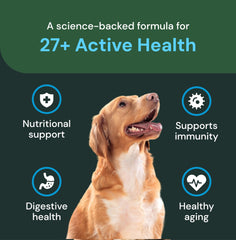 VetriScience Vet Strength 27+ dog eating – chews support daily nutrition.
