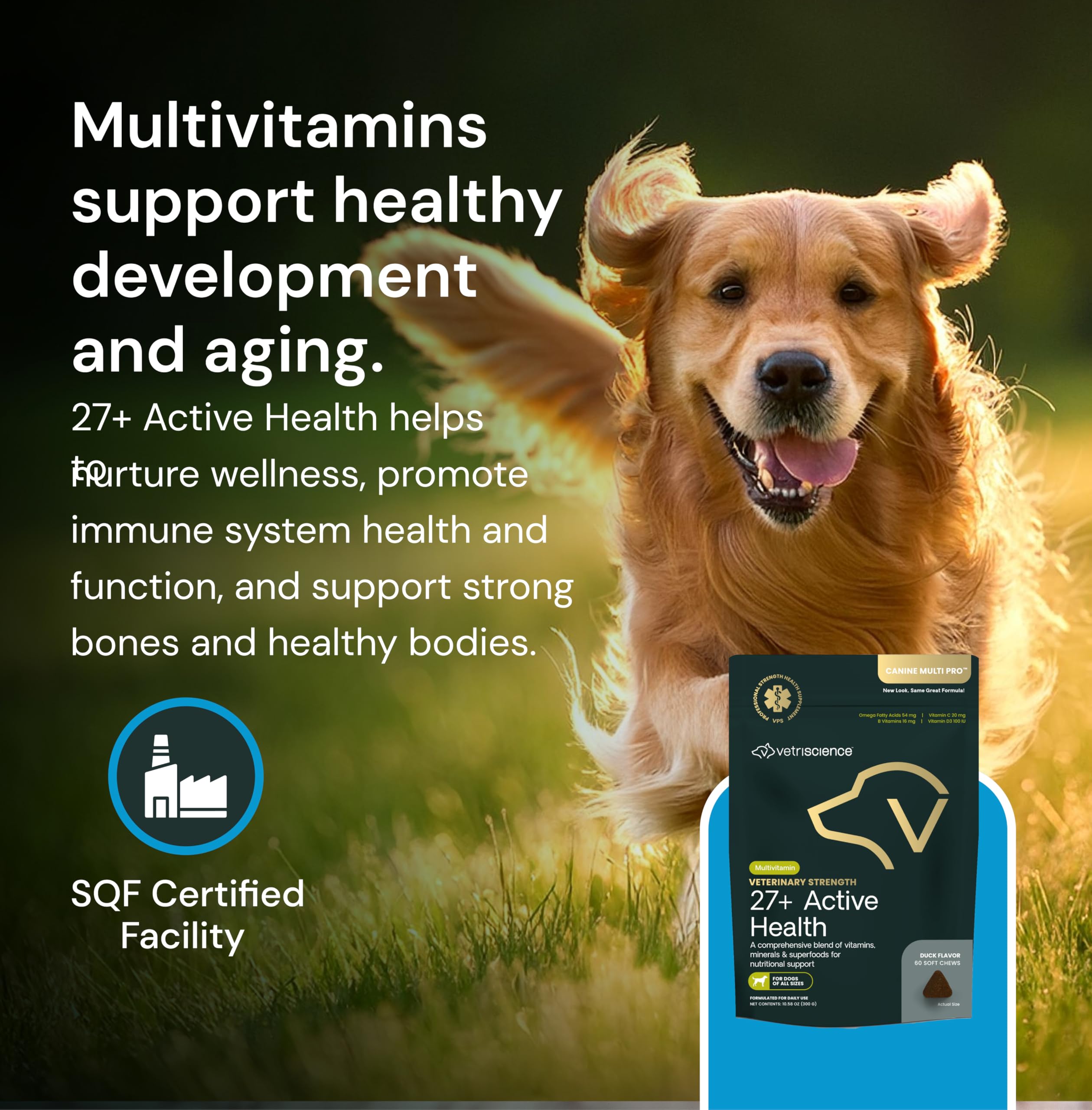 VetriScience Vet Strength 27+ packaging – 60-count bottle for easy dosing.