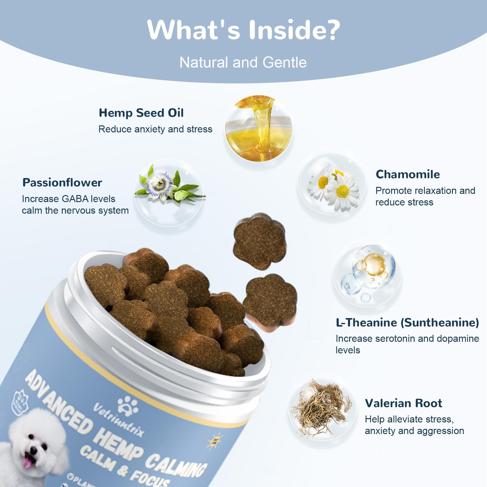 Vetriuntrix Calming Chews used for separation anxiety in dogs.
