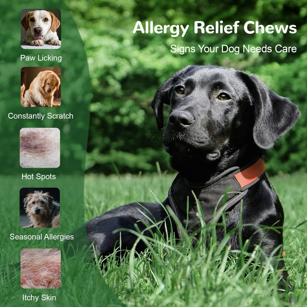 Vetriuntrix dog allergy chews chicken flavor visible for picky eaters