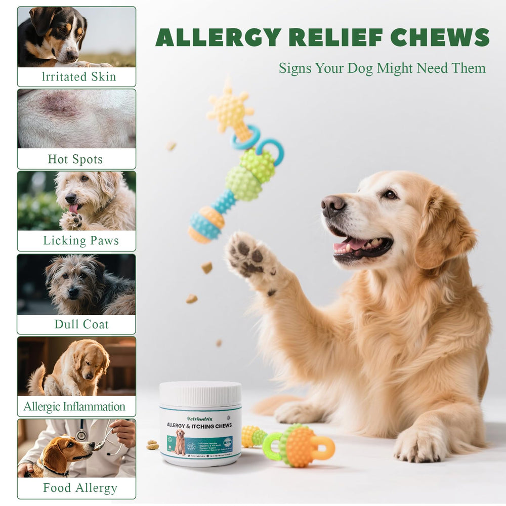 Vetriuntrix dog allergy chews chicken-flavored pieces held in hand.