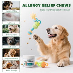 Vetriuntrix dog allergy chews chicken-flavored pieces held in hand.