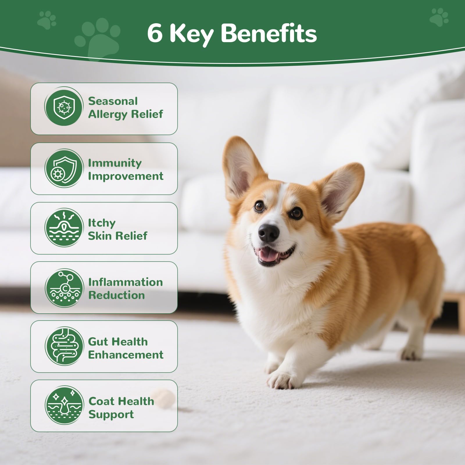 Vetriuntrix Dog Allergy Chews jar closeup highlights omega-3 and immunity support.