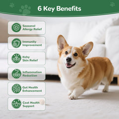 Vetriuntrix Dog Allergy Chews jar closeup highlights omega-3 and immunity support.