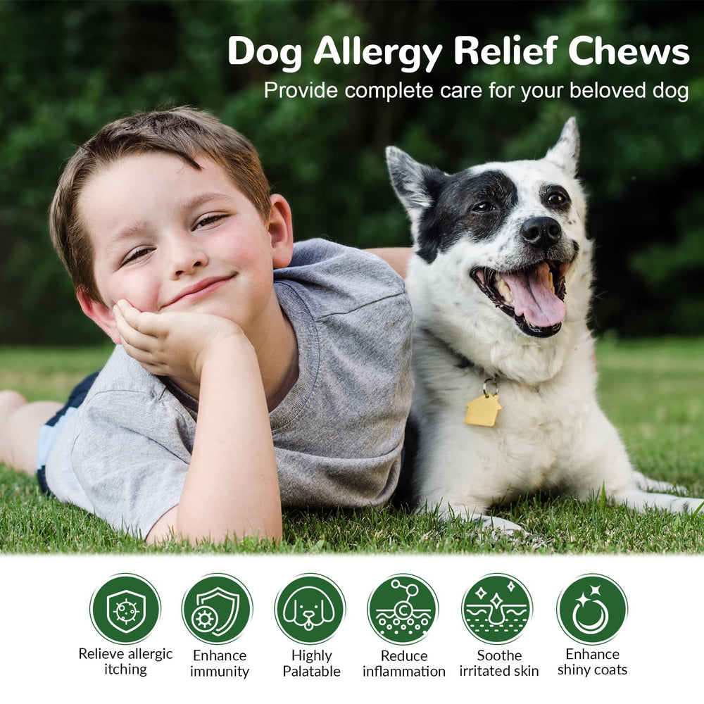 Vetriuntrix dog allergy chews label closeup highlighting omega-3 and probiotics