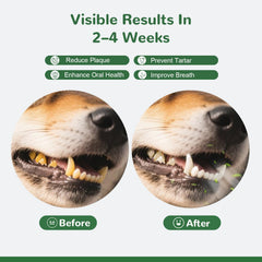 Vetriuntrix powder on food demonstrating simple application without brushing.