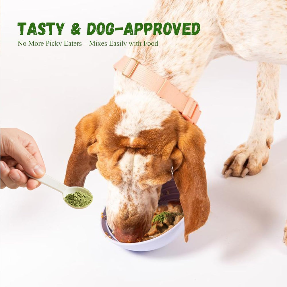 Vetriuntrix dog dental powder taste feature demonstrates dog-friendly flavor