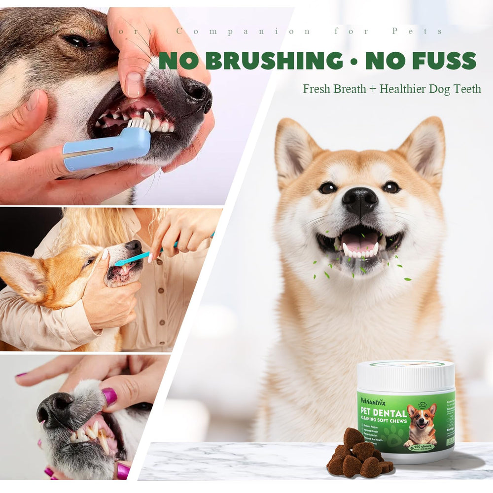 Vetriuntrix dog teeth chews daily use easy sprinkle on food