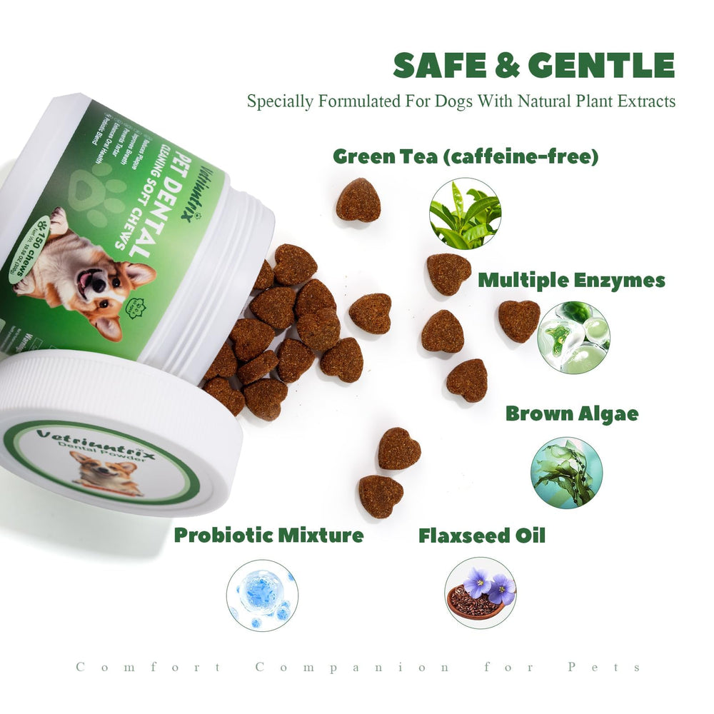 Vetriuntrix dog teeth chews taste visible appealing to picky eaters