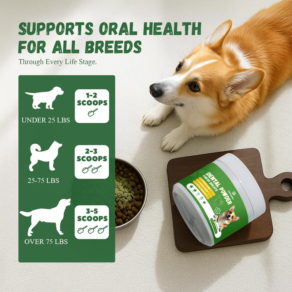 Vetriuntrix dog teeth powder serving demonstration shows quick, stain-reducing care
