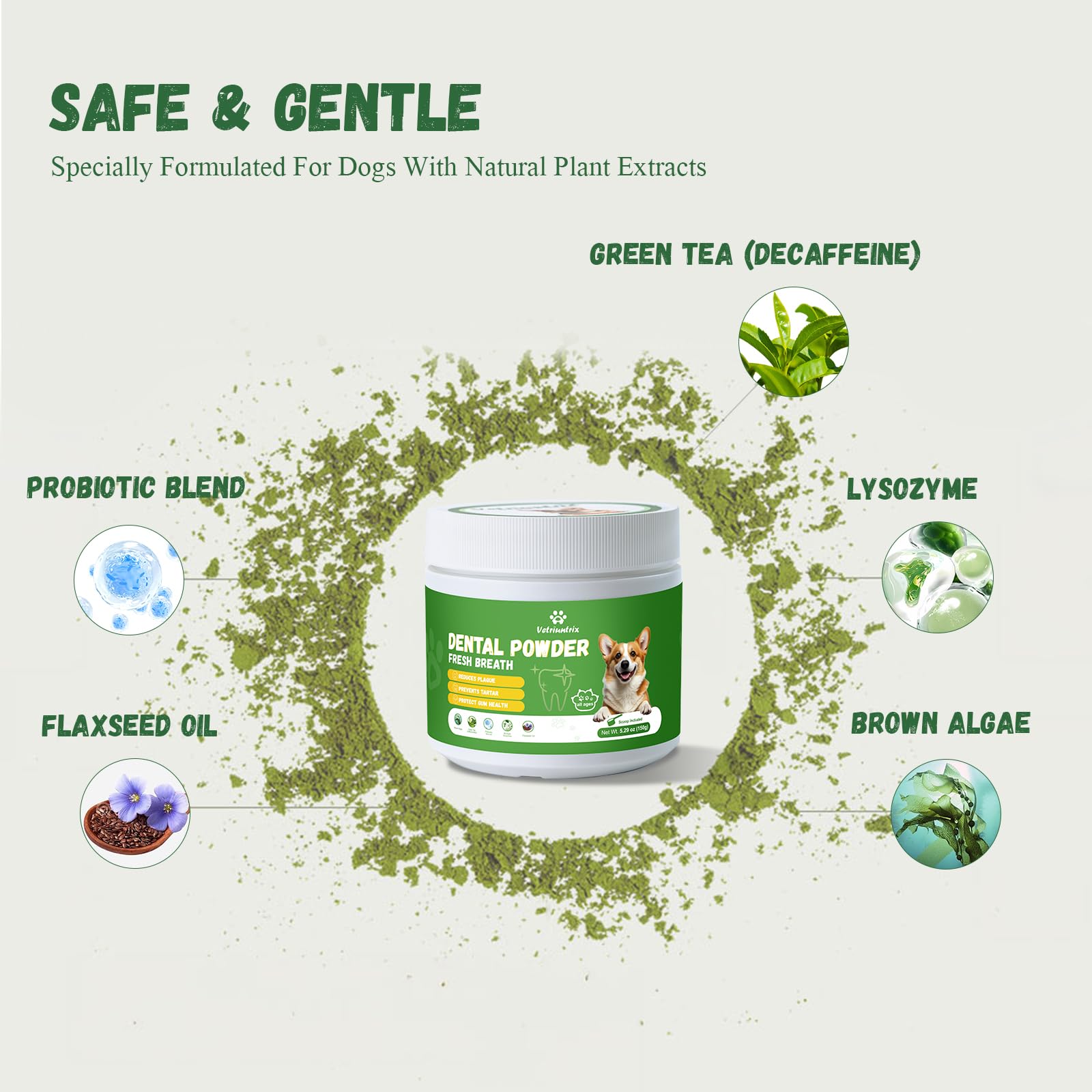 Vetriuntrix dog teeth powder on food bowl demonstrates simple daily dental care routine