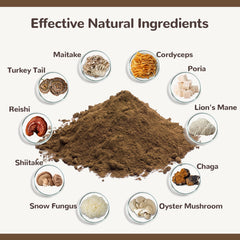 Vetriuntrix turkey tail label close-up highlighting lab-tested potency for pet wellness